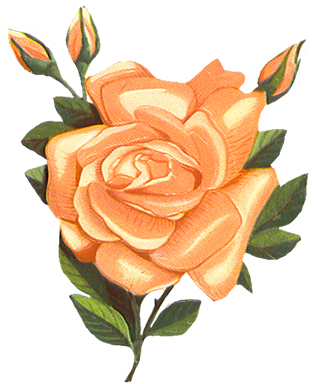 Vintage-rose Clipart - Orange Flower Vintage Png (315x384), Png Download