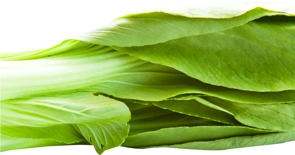 Png Image Transparent Best Stock Photos - Bok Choy No Background (1024x768), Png Download