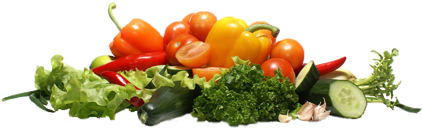 Veggies Png Download - Growing Vegetables Png (842x257), Png Download