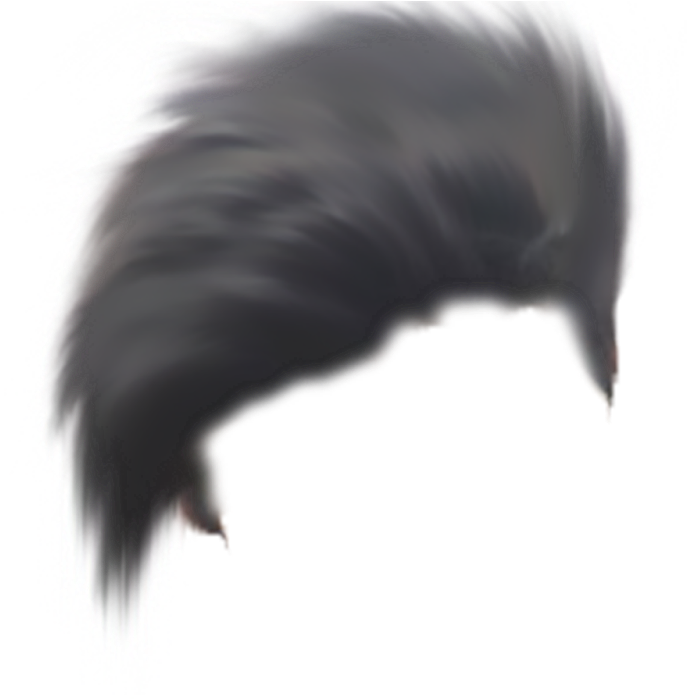 Ganesh Chaturthi Special Editing In Picsart Ganpati - American Crow (1600x1510), Png Download