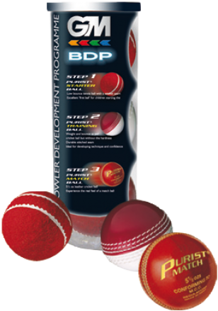Bowling Development Programme - Gm Three Cricket Ball Pack - Development Program (500x500), Png Download