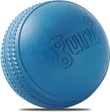 Africa Svg Black And White - Cricket Rubber Ball Price (500x395), Png Download