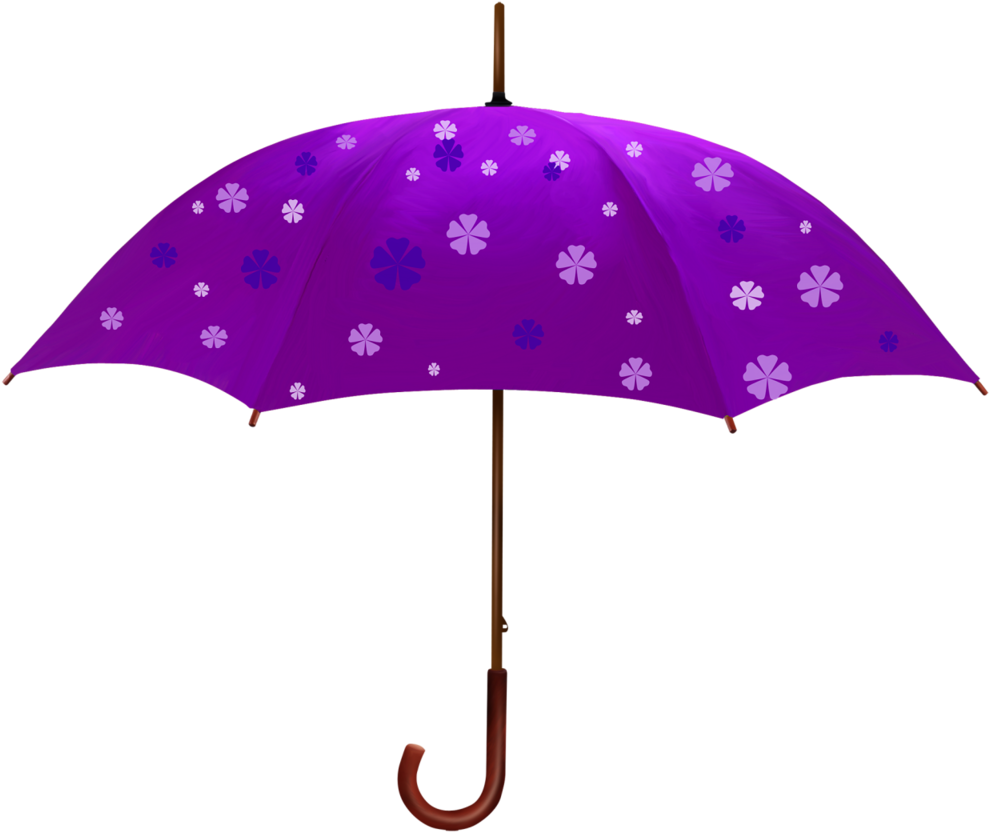Umbrella (1024x877), Png Download