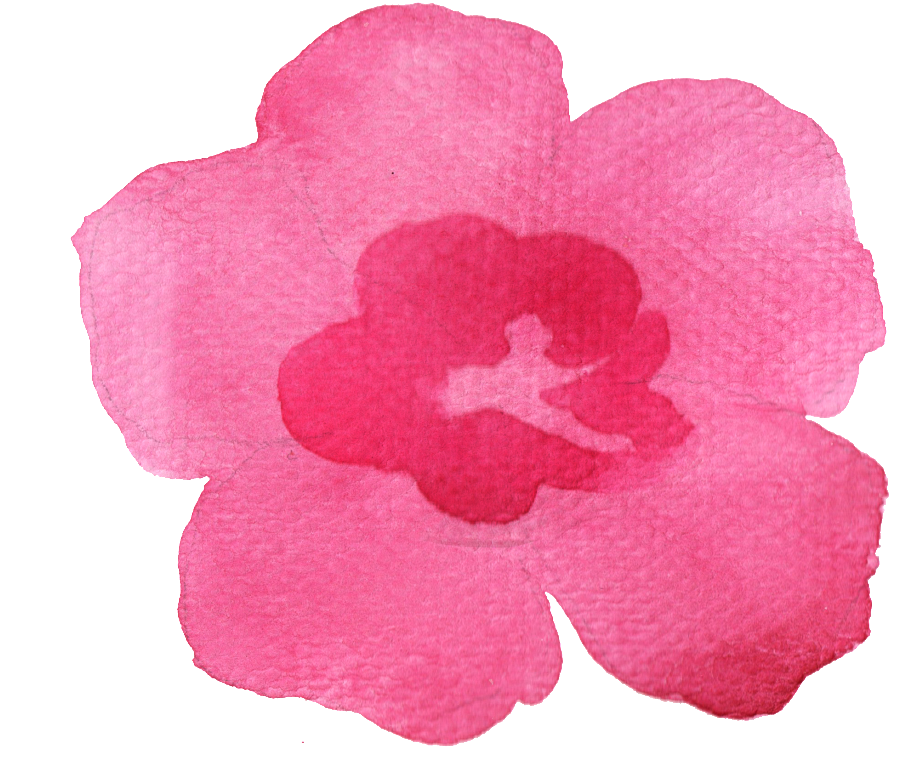 Flower Clip Png - Watercolor Painting (1024x1005), Png Download