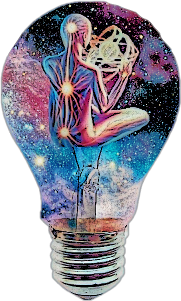 Incandescent Light Bulb (411x647), Png Download