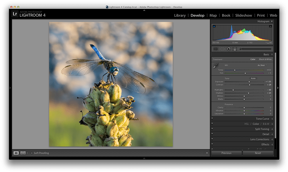 The Black And White Sliders Will Have An Effect On - Shadow Tint Lightroom (1000x603), Png Download