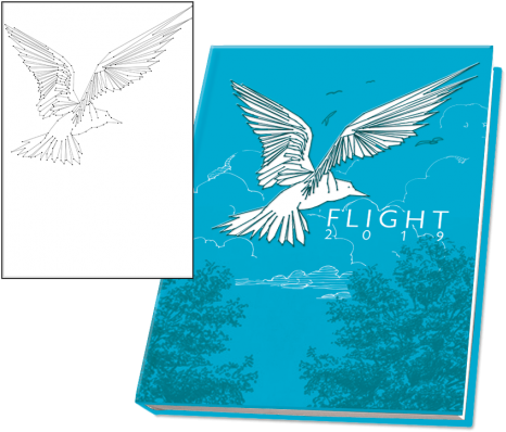 2019 String Art Bird Em 19 K Diework - Hawk (480x437), Png Download