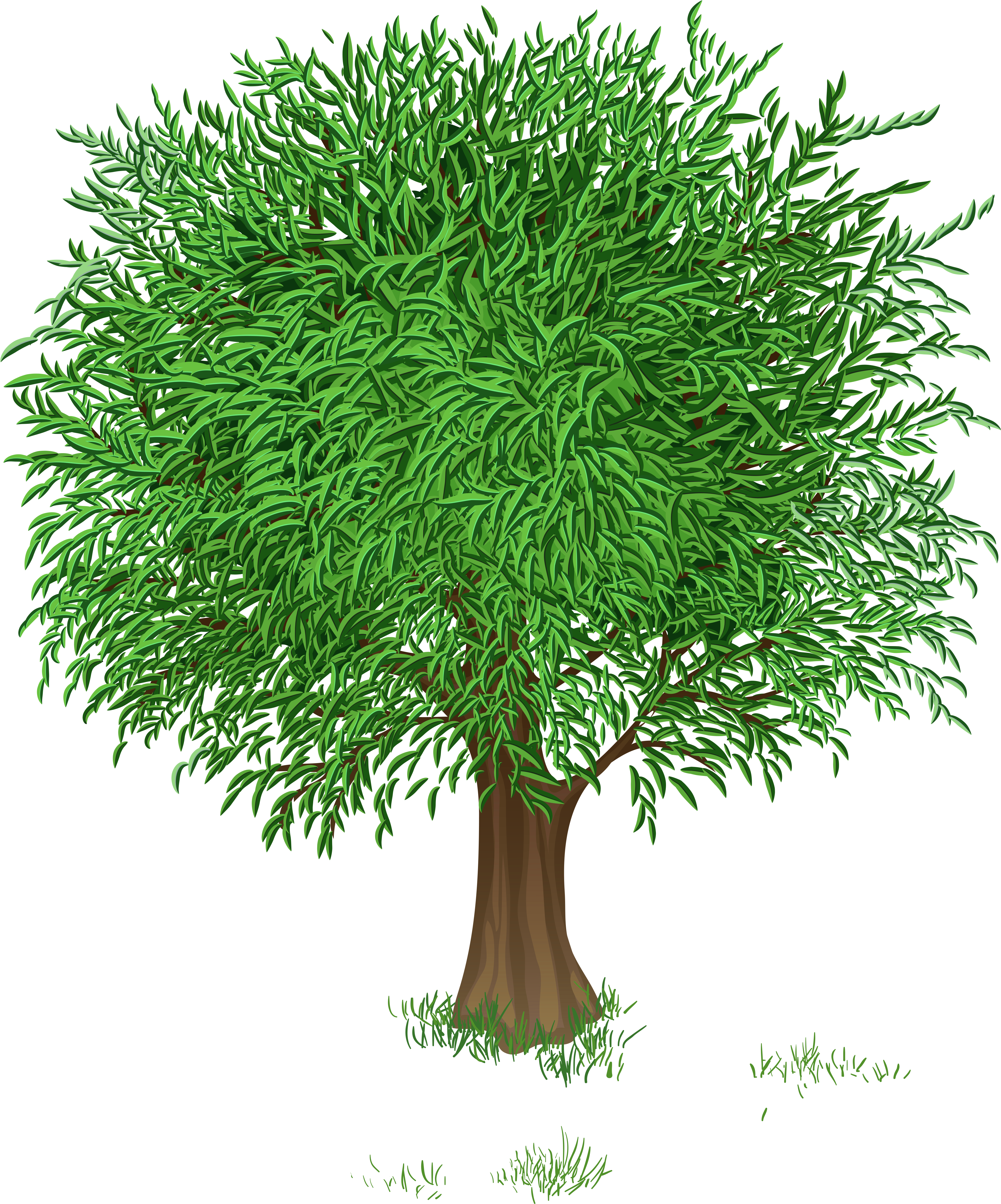 Tree 00