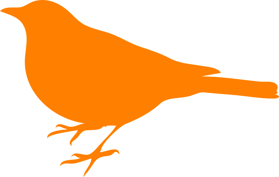 Bird Silhouette Clip Art (960x608), Png Download