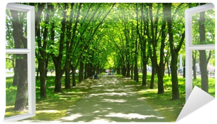 Window Opened To The Beautiful Park With Many Green - Tree (400x400), Png Download