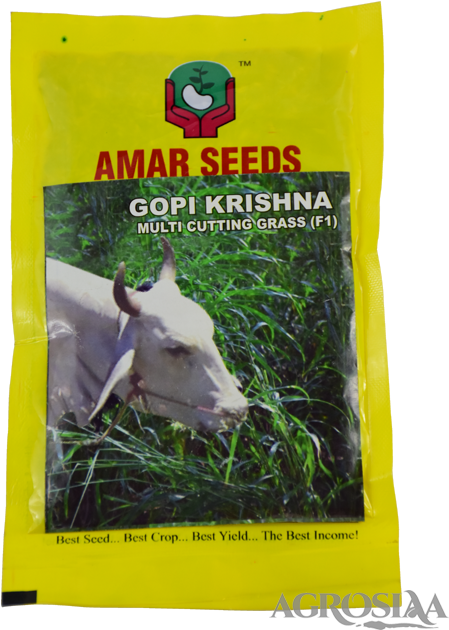 Gopi - Seed (480x640), Png Download