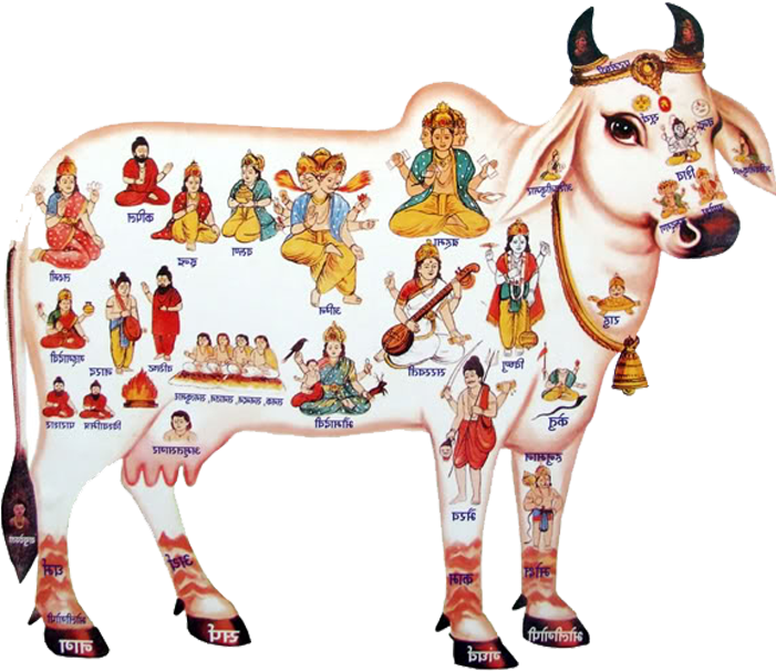 Avendor Counters - Hindu Dharma Parirakshana Trust Logo (700x1215), Png Download