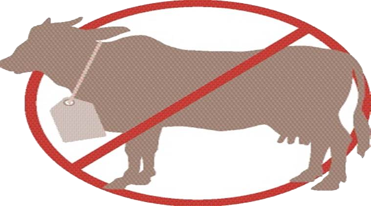 Ban Cow Image - Ban Cow Slaughter (759x422), Png Download