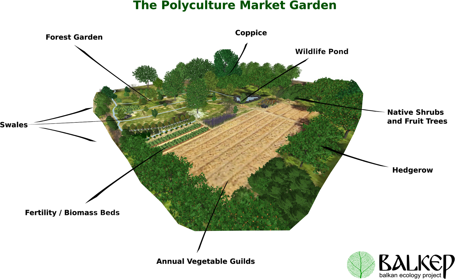 Encouraged From Results We Have Been Seeing In Our - Polyculture Garden (1600x994), Png Download