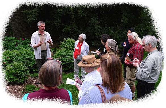 Support The Arboretum - Tree (585x379), Png Download