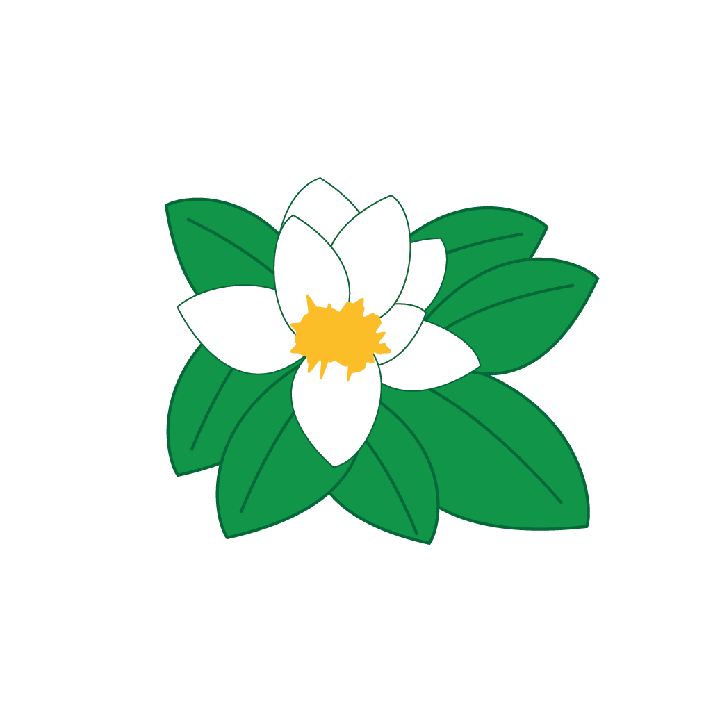 Hot Springs Cc Logo - Hot Springs Country Club (1083x1104), Png Download