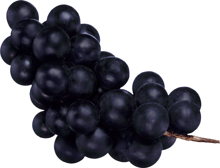 Free Png Black Grapes Png Images Transparent - Black Grapes Png (850x650), Png Download