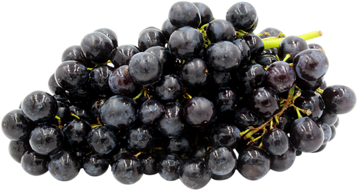 Black Grapes - Fresh Produce Black Seedless Grapes, 2 Lb (600x320), Png Download