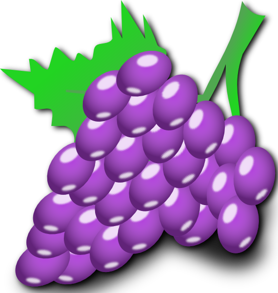 Black And White Vine Clip Art - Grapes Clip Art Png (570x600), Png Download