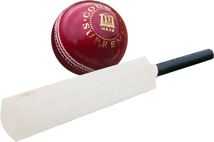 Cricket (800x650), Png Download