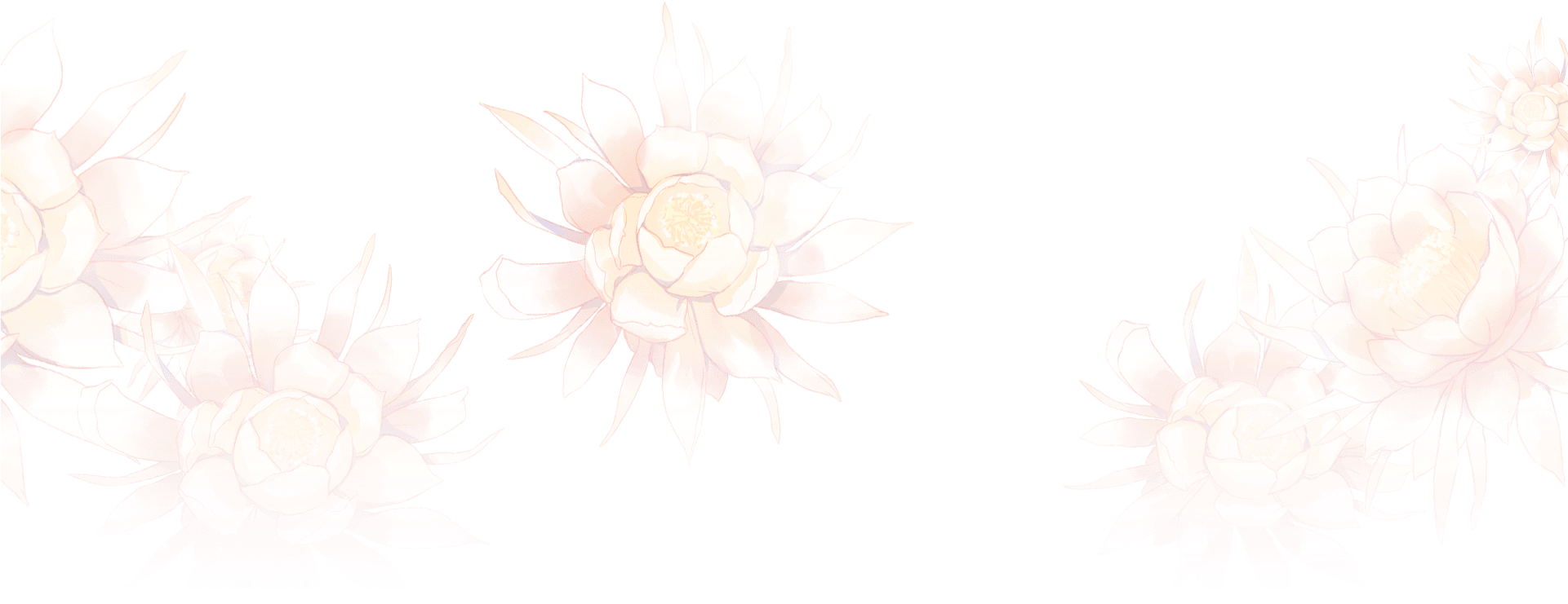 Background Flowers - ミラクル ニキ ロゴ (1920x747), Png Download