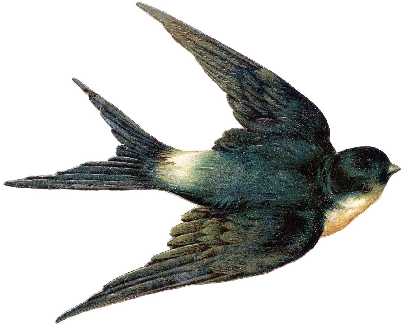 Fairy Bird Png Hd - Vintage Swallow (1350x1105), Png Download