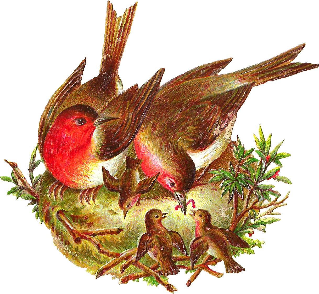 Nest Png Transparent File - Birds In Nest Png (1427x1285), Png Download