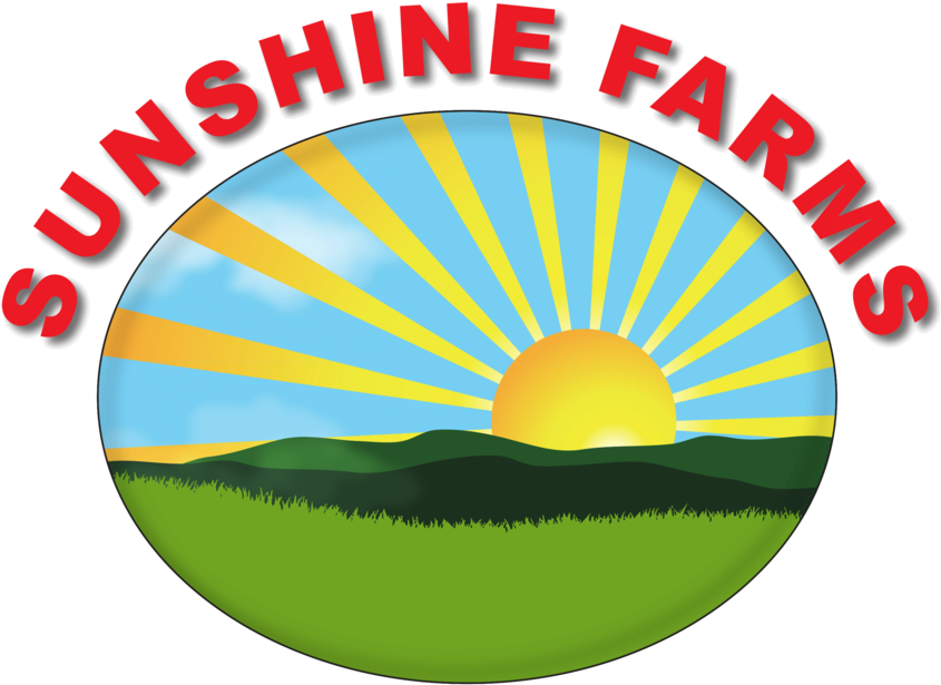 Melbourne Taekwondo Centre Boronia (874x689), Png Download