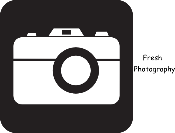 Fresh Photography Clip Art - Clip Art Cartoon Camera (600x456), Png Download