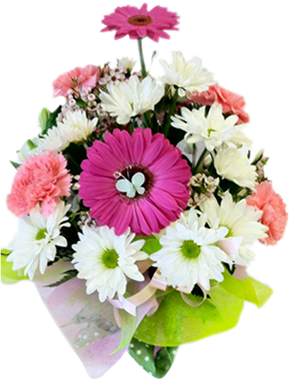 Gift Wrapped Birthday - Barberton Daisy (600x600), Png Download