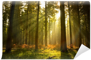 Wallpaper (400x400), Png Download