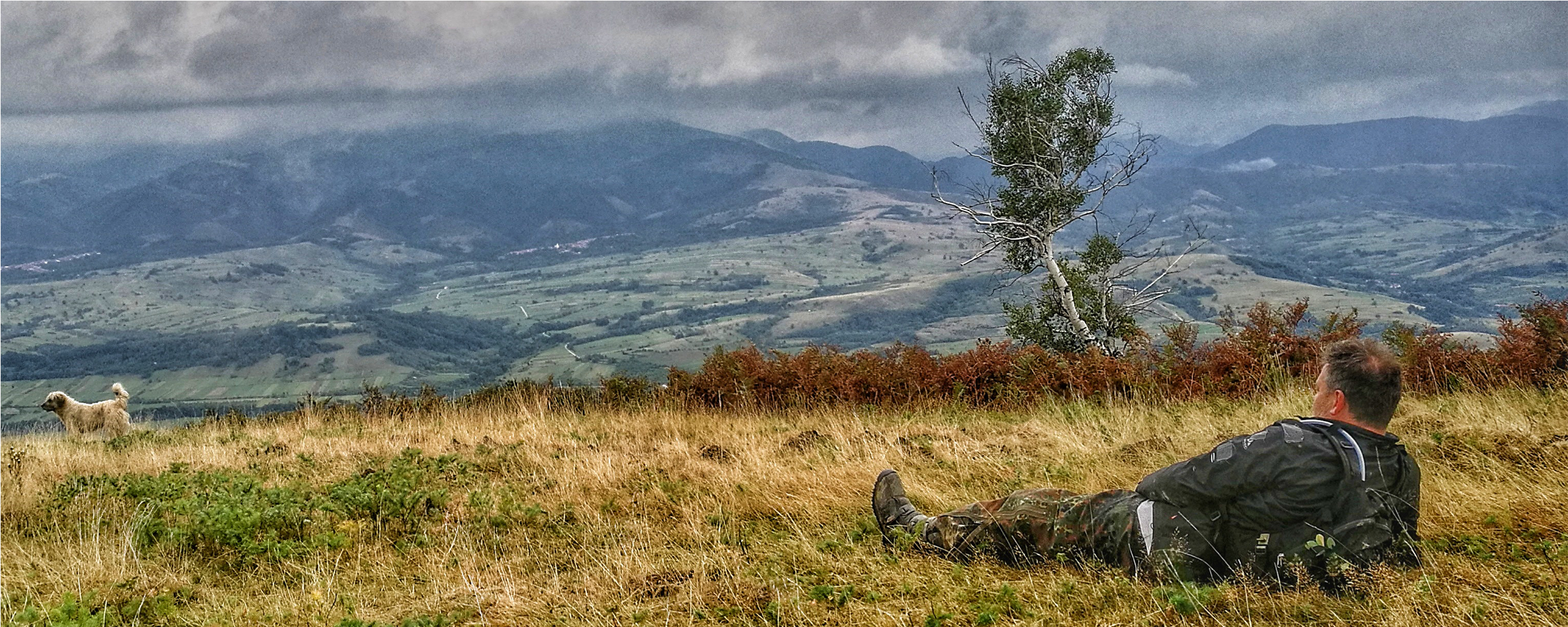 Address - Grass (2500x1249), Png Download