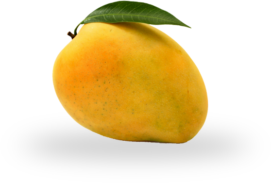 Check Out Simply Natural Farms Fruits And Veggies - Photograph (720x600), Png Download