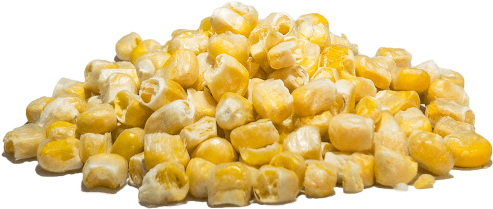 Bulk Sweet Corn - Corn (500x350), Png Download