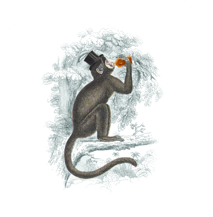 Cebus Patuellus - Meadow Jumping Mouse (750x750), Png Download