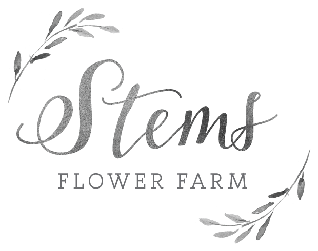 Marigold Seed - Nema Mix - Prairie Gentian (792x612), Png Download