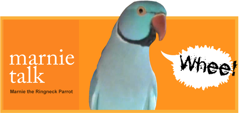 This Site Is All About Marnie, The Blue Indian Ringneck - Book Art (958x488), Png Download