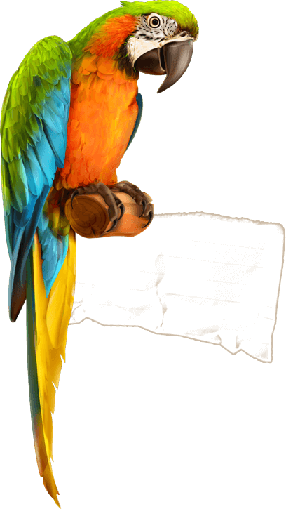 Parrot (408x725), Png Download