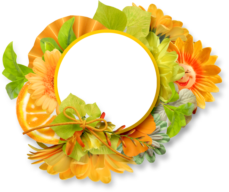 0 82148 E956357e Orig - Gerbera (800x673), Png Download