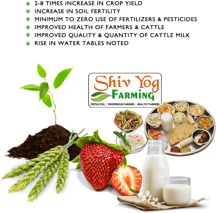 How Foods Affect Your Life - Shivyog (700x709), Png Download