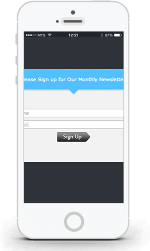 Bad Example Of Responsive Web Form - Responsive Mobile Png (320x500), Png Download