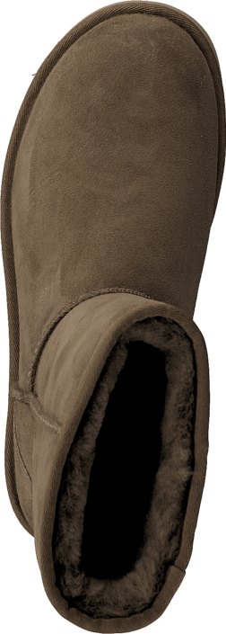 Short Dry Leaf - Emu Women's Stinger Lo Ankle-high Sheepskin Boot (252x705), Png Download