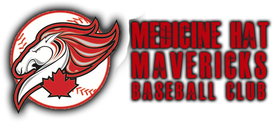 Medicinehatmavslogo - Medicine Hat Mavericks (620x280), Png Download