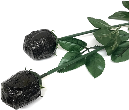 Black Foiled Belgian Chocolate Color Splash Roses For - Belgian Chocolate (500x500), Png Download