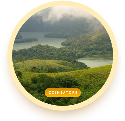 Glob03 - Coimbatore Hd (413x415), Png Download