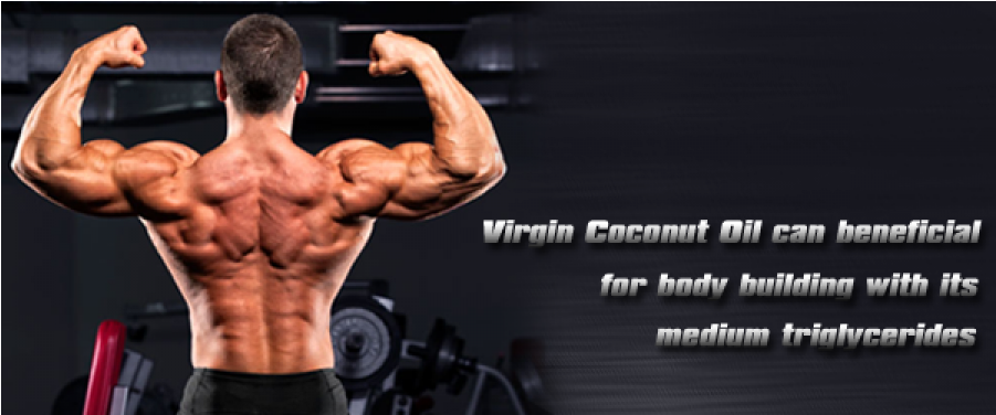 Virgin Coconut Oil Body Building - V Shaped Back (900x500), Png Download