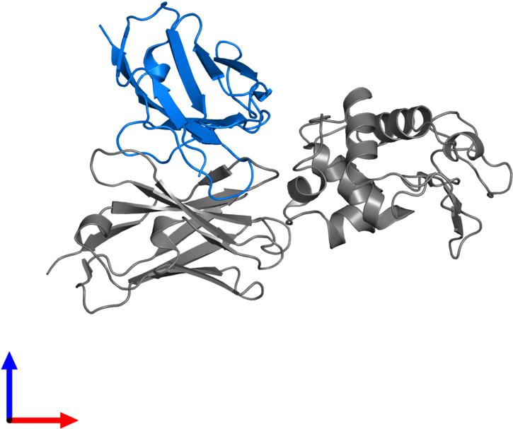 <div Class='caption-body'>pdb Entry 1g7m Contains 1 - Protein (800x800), Png Download