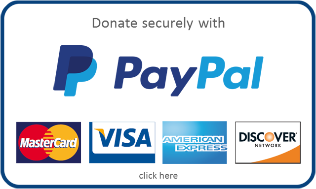 Important Security Notice - Donate Now With Paypal (640x384), Png Download