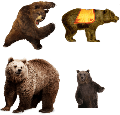 Bears - Animals Transparent (400x400), Png Download