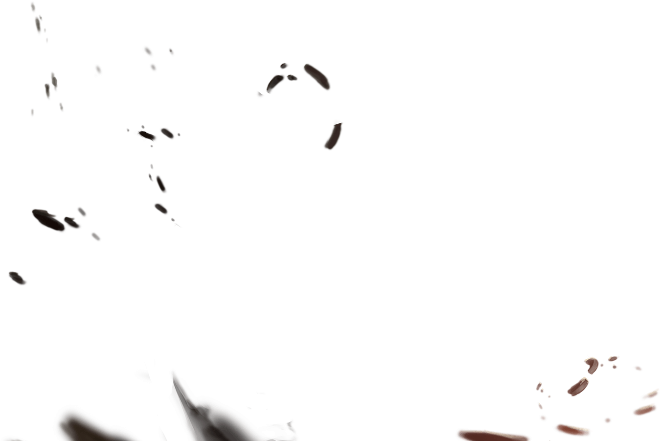 Seabird (1600x900), Png Download